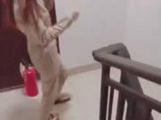 Miss Girl chinois cerfs - Corridor Sex Show